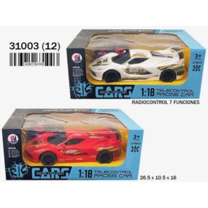 COCHE RALLY RC