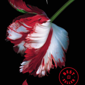 LUNA NUEVA. CREPÚSCULO, 2 - STEPHENIE MEYER